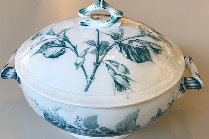 Fuchsia Sarreghemines 